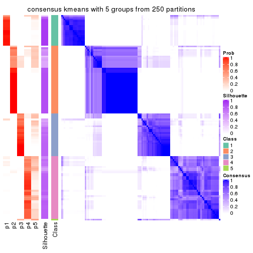plot of chunk tab-CV-kmeans-consensus-heatmap-4