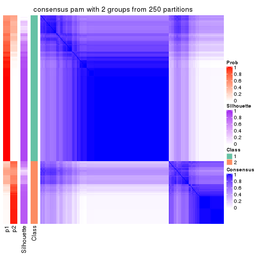 plot of chunk tab-CV-pam-consensus-heatmap-1