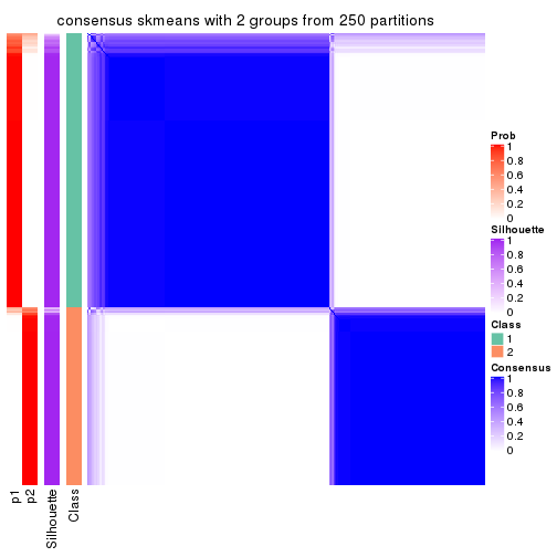 plot of chunk tab-CV-skmeans-consensus-heatmap-1