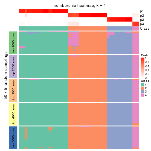 plot of chunk tab-ATC-NMF-membership-heatmap-3