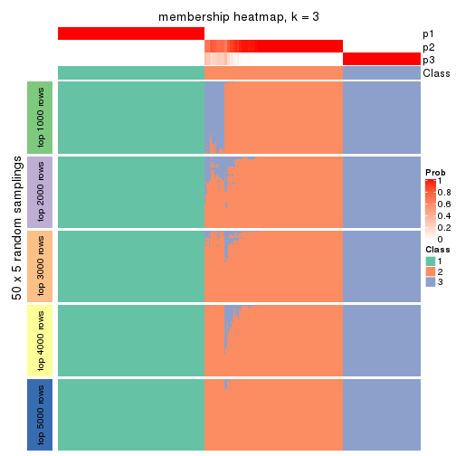 plot of chunk tab-CV-NMF-membership-heatmap-2