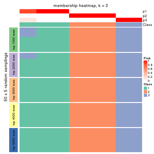 plot of chunk tab-MAD-hclust-membership-heatmap-2