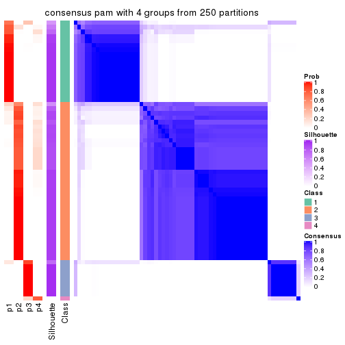 plot of chunk tab-MAD-pam-consensus-heatmap-3
