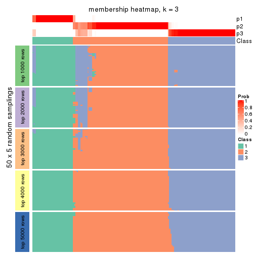plot of chunk tab-MAD-NMF-membership-heatmap-2