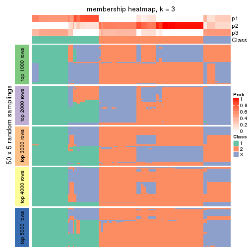 plot of chunk tab-SD-mclust-membership-heatmap-2