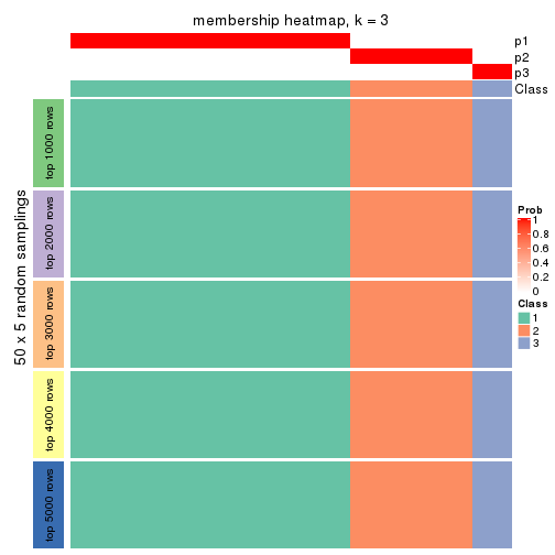 plot of chunk tab-CV-pam-membership-heatmap-2