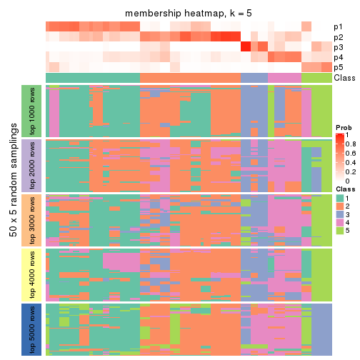 plot of chunk tab-CV-mclust-membership-heatmap-4
