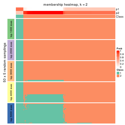 plot of chunk tab-CV-pam-membership-heatmap-1