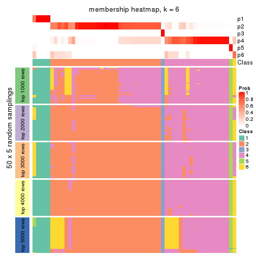 plot of chunk tab-CV-pam-membership-heatmap-5
