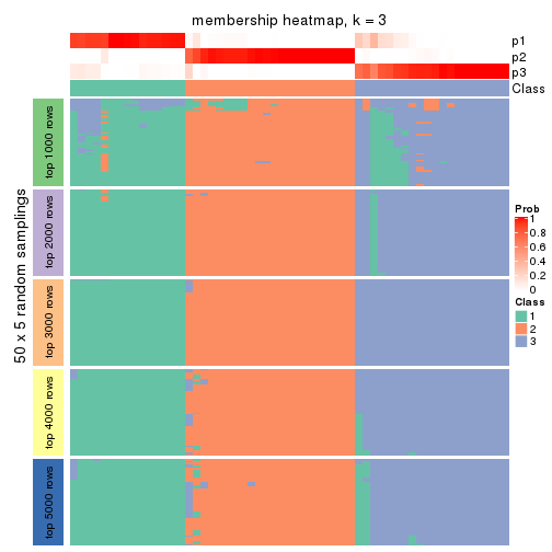 plot of chunk tab-MAD-NMF-membership-heatmap-2
