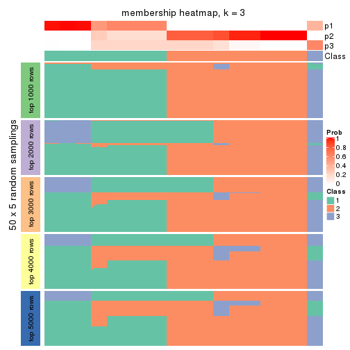 plot of chunk tab-SD-kmeans-membership-heatmap-2