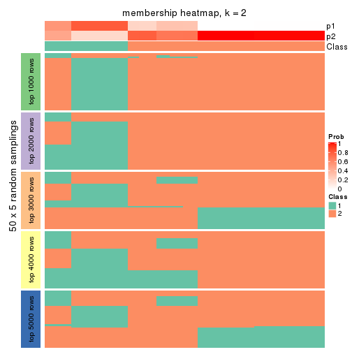 plot of chunk tab-ATC-kmeans-membership-heatmap-1