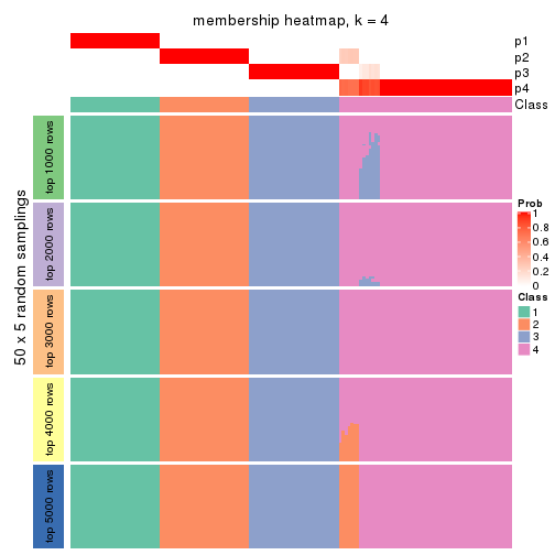 plot of chunk tab-CV-pam-membership-heatmap-3
