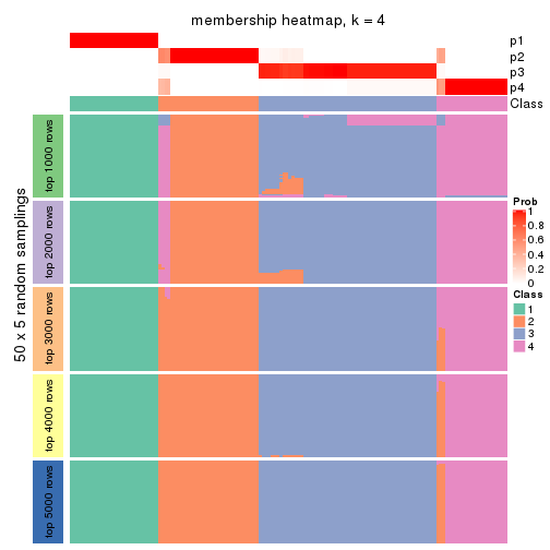 plot of chunk tab-MAD-NMF-membership-heatmap-3