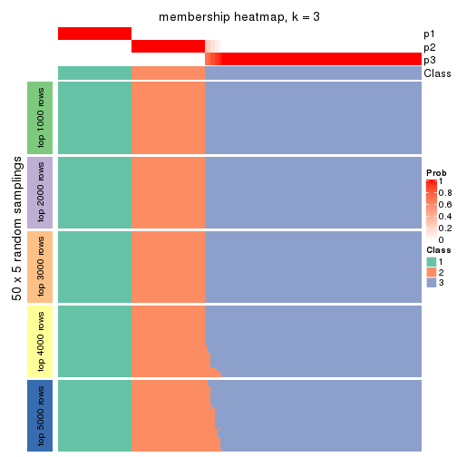 plot of chunk tab-SD-pam-membership-heatmap-2