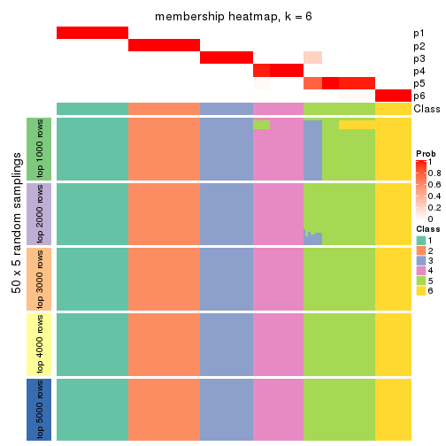 plot of chunk tab-SD-pam-membership-heatmap-5