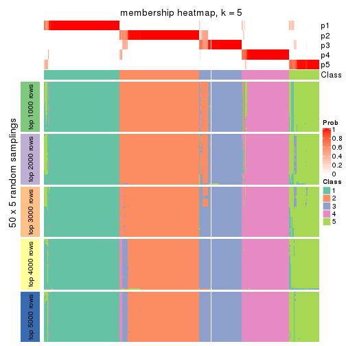 plot of chunk tab-ATC-skmeans-membership-heatmap-4