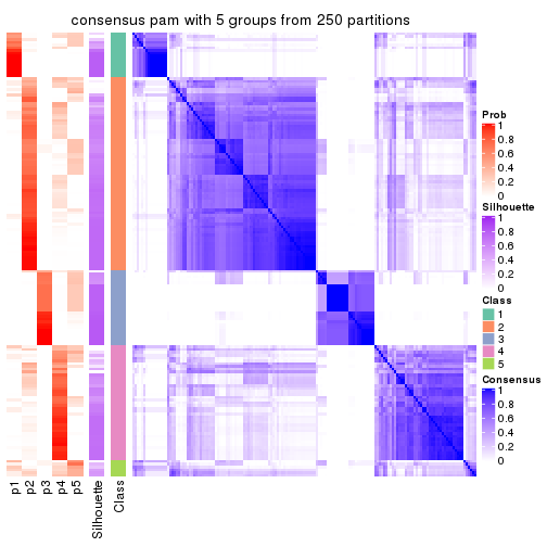 plot of chunk tab-CV-pam-consensus-heatmap-4