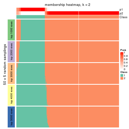 plot of chunk tab-MAD-NMF-membership-heatmap-1