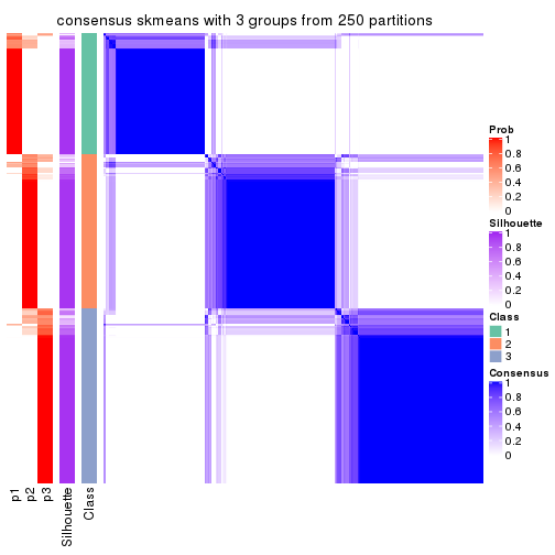plot of chunk tab-MAD-skmeans-consensus-heatmap-2