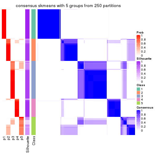 plot of chunk tab-SD-skmeans-consensus-heatmap-4