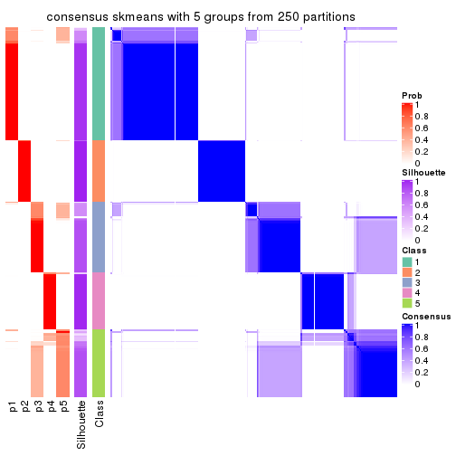 plot of chunk tab-SD-skmeans-consensus-heatmap-4
