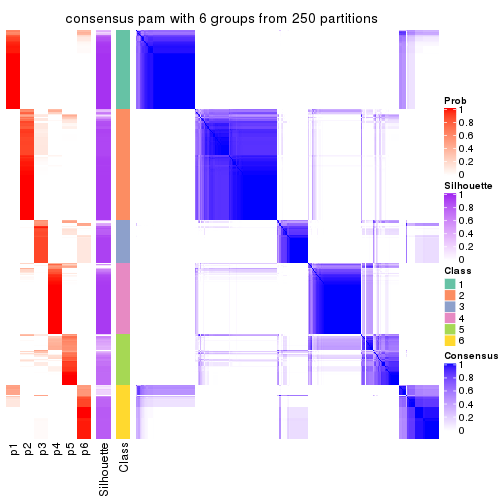 plot of chunk tab-MAD-pam-consensus-heatmap-5