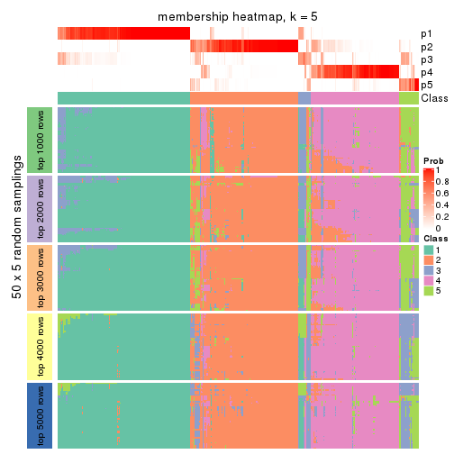 plot of chunk tab-SD-NMF-membership-heatmap-4