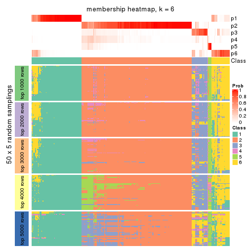 plot of chunk tab-SD-hclust-membership-heatmap-5