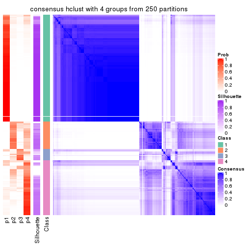 plot of chunk tab-CV-hclust-consensus-heatmap-3