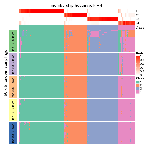 plot of chunk tab-CV-NMF-membership-heatmap-3
