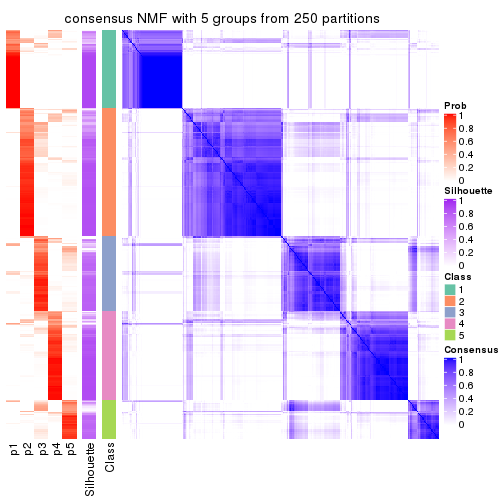 plot of chunk tab-ATC-NMF-consensus-heatmap-4