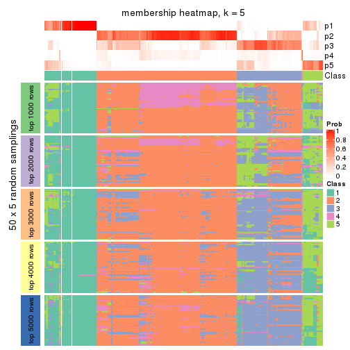 plot of chunk tab-ATC-hclust-membership-heatmap-4