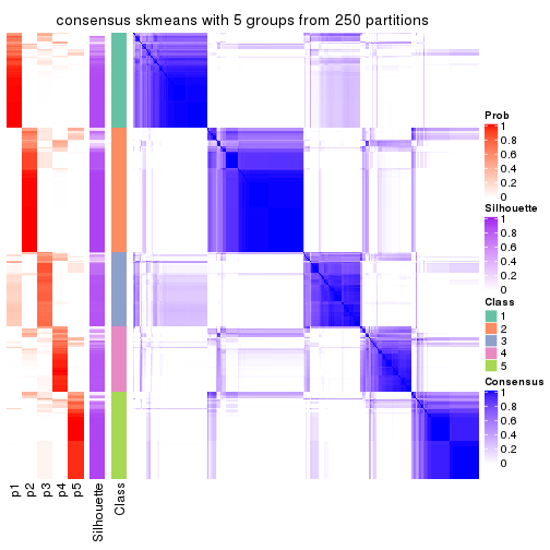 plot of chunk tab-CV-skmeans-consensus-heatmap-4
