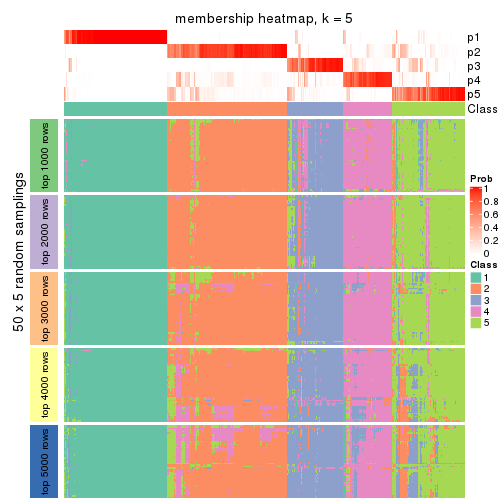 plot of chunk tab-MAD-NMF-membership-heatmap-4