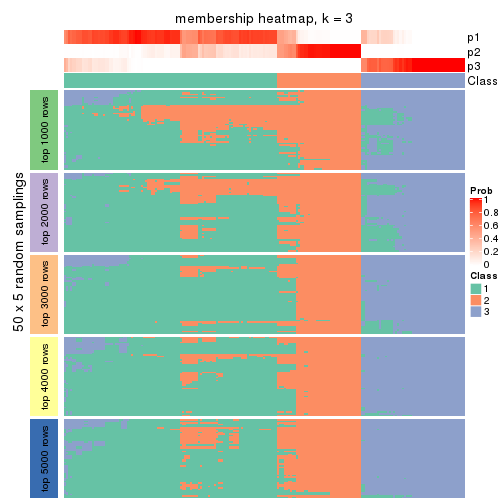 plot of chunk tab-ATC-hclust-membership-heatmap-2