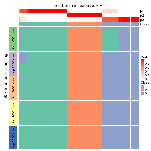 plot of chunk tab-ATC-skmeans-membership-heatmap-2