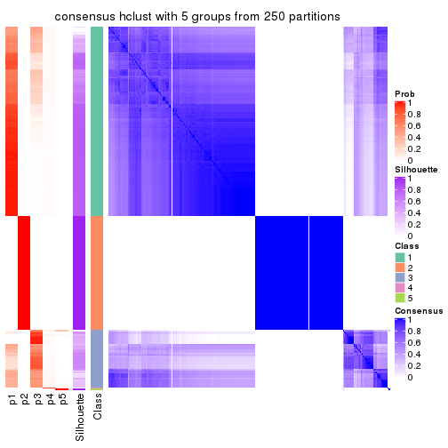 plot of chunk tab-CV-hclust-consensus-heatmap-4