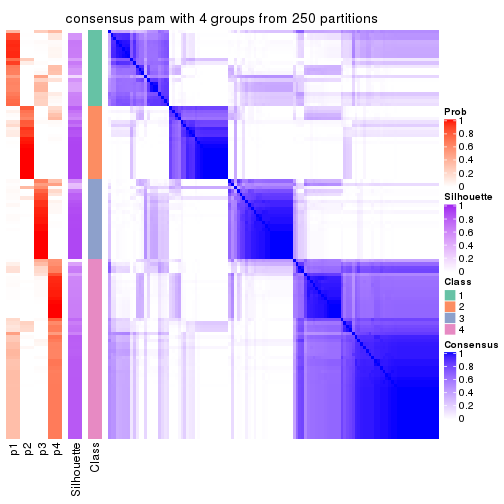 plot of chunk tab-CV-pam-consensus-heatmap-3