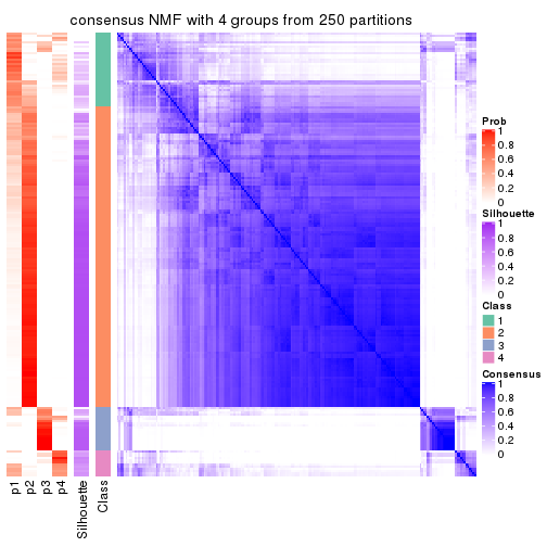 plot of chunk tab-MAD-NMF-consensus-heatmap-3