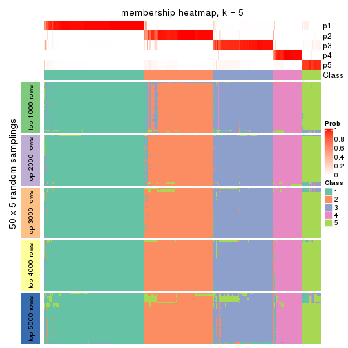 plot of chunk tab-CV-kmeans-membership-heatmap-4