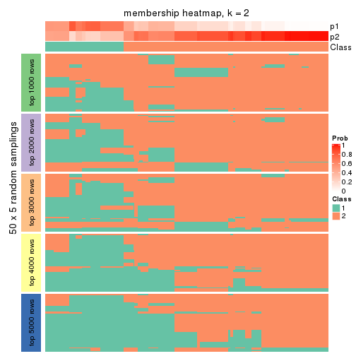 plot of chunk tab-CV-kmeans-membership-heatmap-1