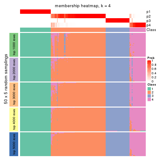 plot of chunk tab-ATC-NMF-membership-heatmap-3