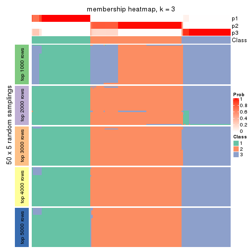 plot of chunk tab-CV-skmeans-membership-heatmap-2