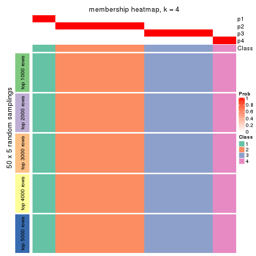 plot of chunk tab-CV-pam-membership-heatmap-3