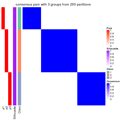 plot of chunk tab-SD-pam-consensus-heatmap-2