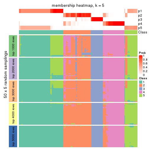 plot of chunk tab-MAD-skmeans-membership-heatmap-4