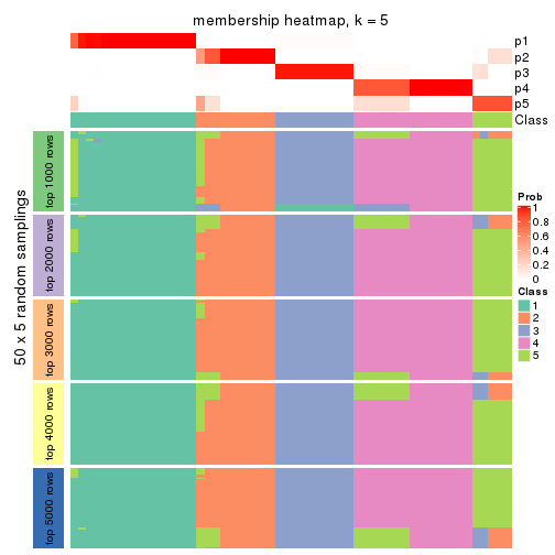 plot of chunk tab-CV-NMF-membership-heatmap-4
