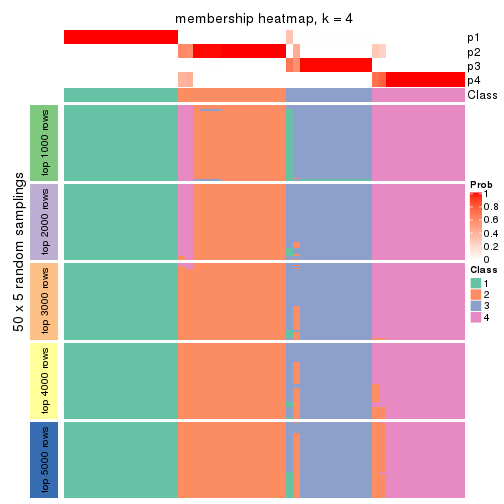 plot of chunk tab-SD-NMF-membership-heatmap-3