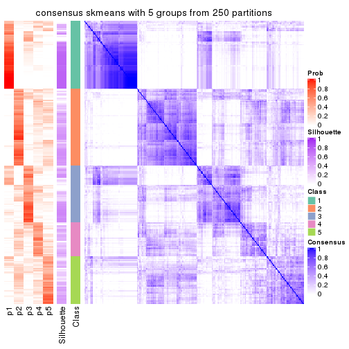 plot of chunk tab-ATC-skmeans-consensus-heatmap-4